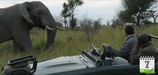 … startet mit einem Game Drive durch das Iwamanzi Game Reserve. Anschließend geht’s weiter in den Pilanesberg Nationalpark. Dort treffen die Reisereporter am 8. Tag …