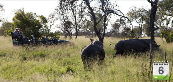 … mit der Bush Experience im Karongwa Game Reserve weitergeht. Nach …