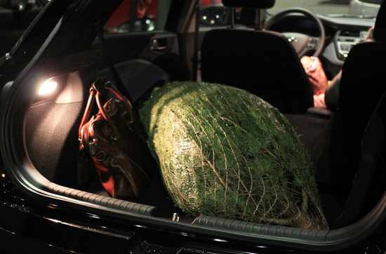 Mit umgeklappter Rückbank lässt sich der Weihnachtsbaum von Markenjury-Mitglied Bubu ganz einfach im neuen i20 transportieren.